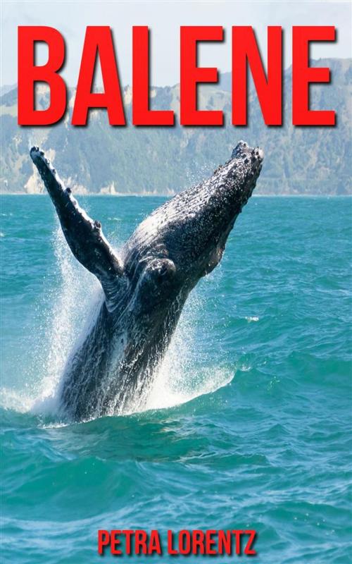Cover of the book Balene by Petra Lorentz, Petra Lorentz