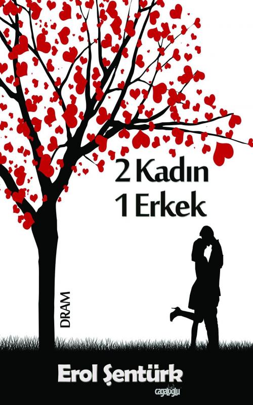 Cover of the book 2 Kadin 1 Erkek by Erol Senturk, Cagaloglu Global