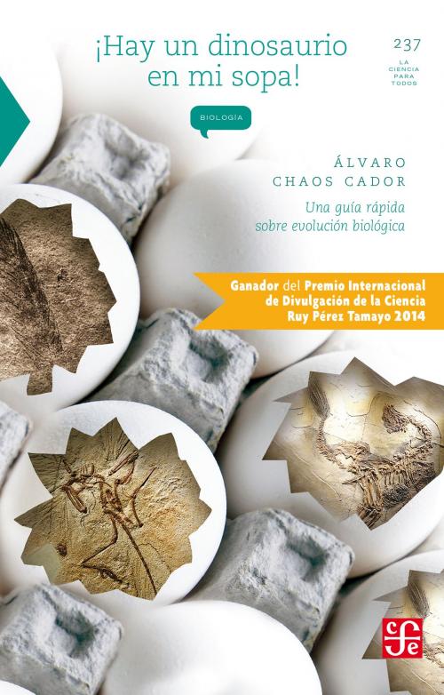 Cover of the book ¡Hay un dinosaurio en mi sopa! by Álvaro Chaos Cador, Fondo de Cultura Económica