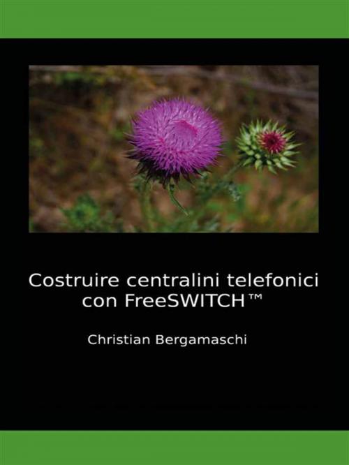 Cover of the book Costruire centralini telefonici con FreeSWITCH by Christian Bergamaschi, Youcanprint Self-Publishing
