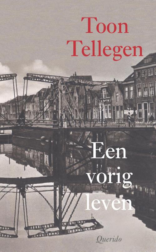 Cover of the book Een vorig leven by Toon Tellegen, Singel Uitgeverijen