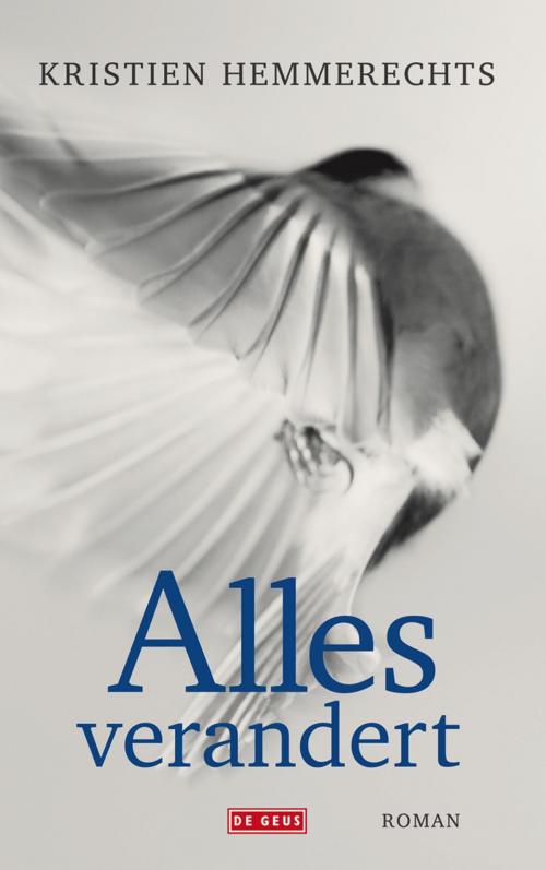 Cover of the book Alles verandert by Kristien Hemmerechts, Singel Uitgeverijen
