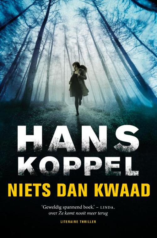 Cover of the book Niets dan kwaad by Hans Koppel, Bruna Uitgevers B.V., A.W.