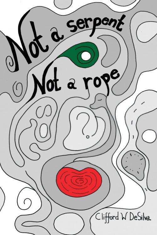 Cover of the book Not a Serpent, Not a Rope by Clifford W DeSilva, Clifford W DeSilva