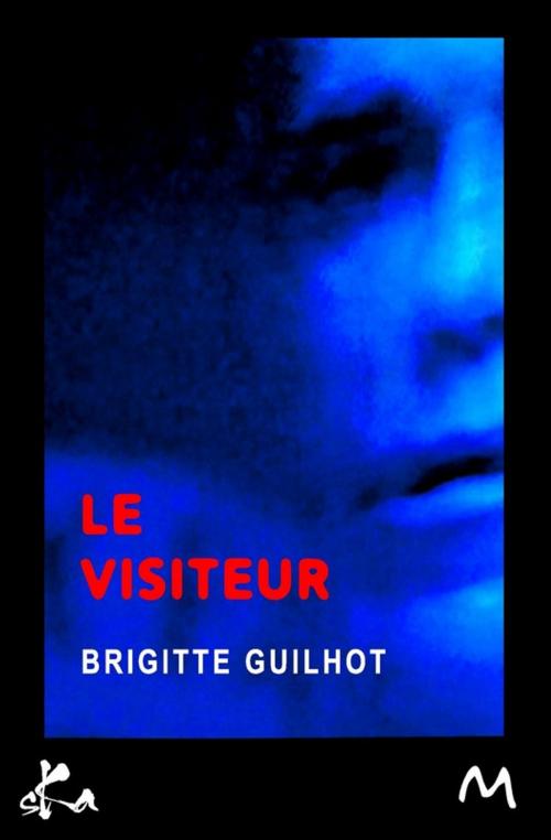 Cover of the book Le visiteur by Brigitte Guilhot, SKA