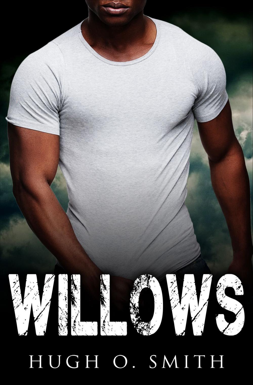 Big bigCover of Willows