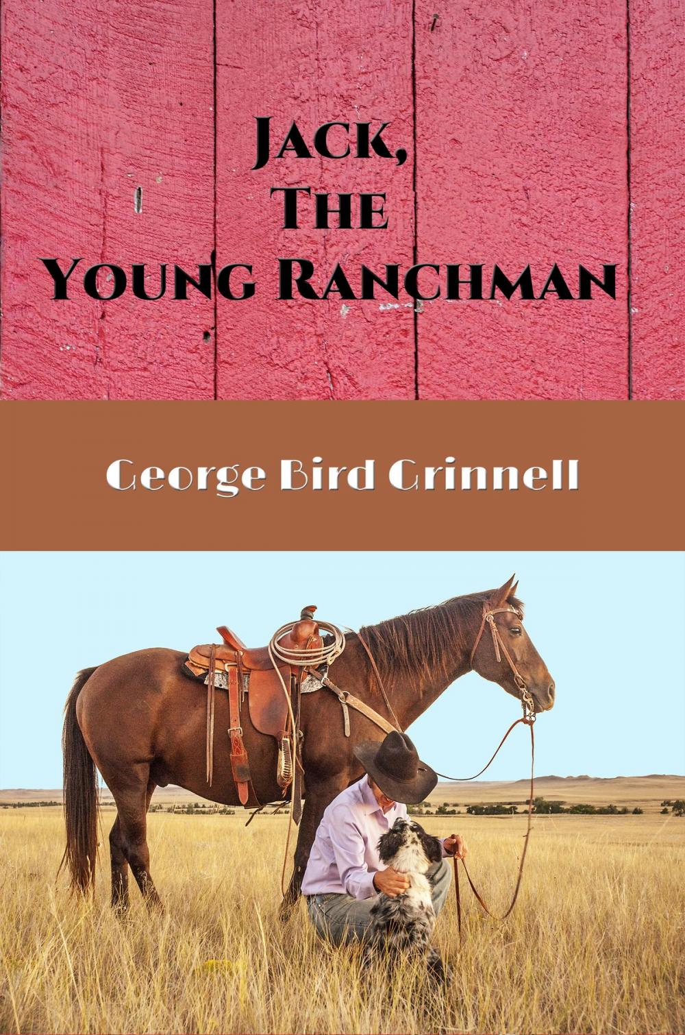 Big bigCover of Jack, The Young Ranchman (Illustrated)