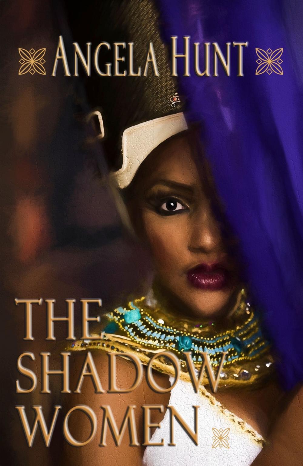 Big bigCover of The Shadow Women