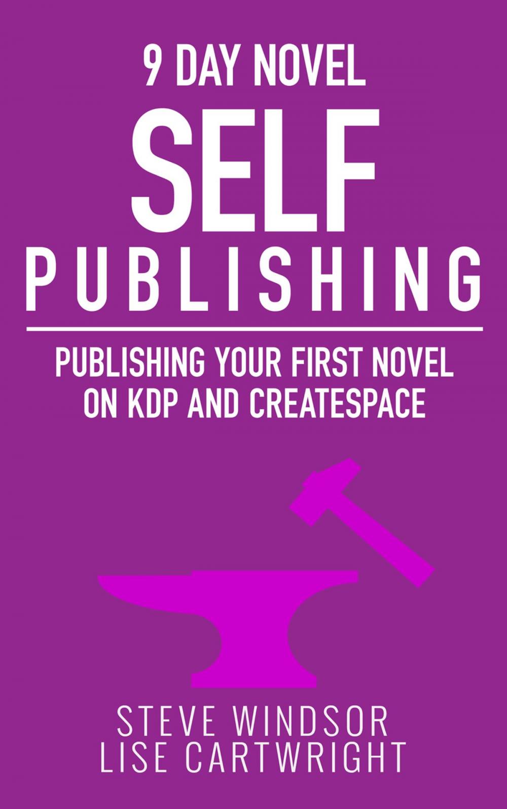 Big bigCover of Nine Day Novel: Self-Publishing