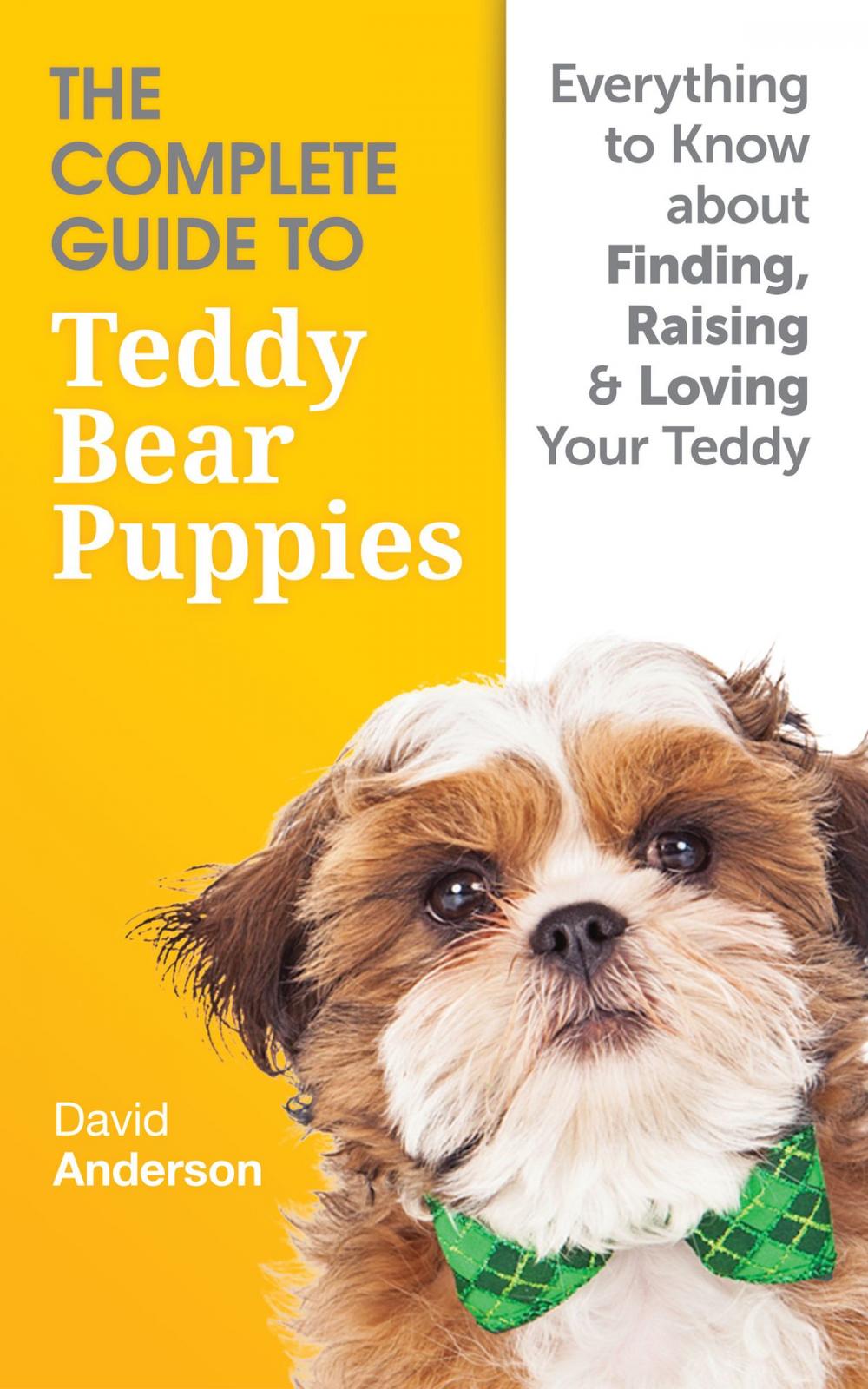 Big bigCover of The Complete Guide to Teddy Bear Puppies