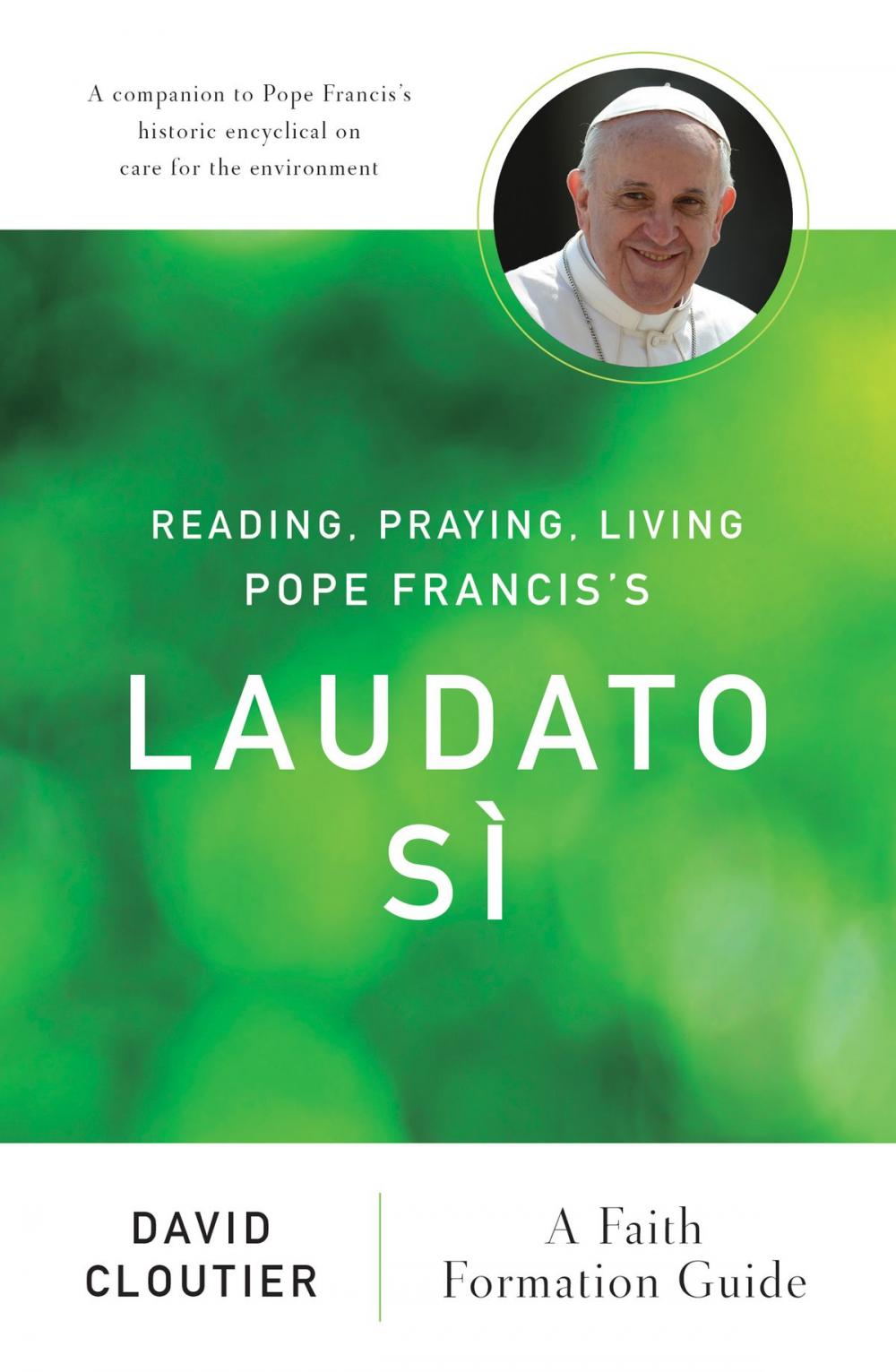 Big bigCover of Reading, Praying, Living Pope Francis's Laudato Sì