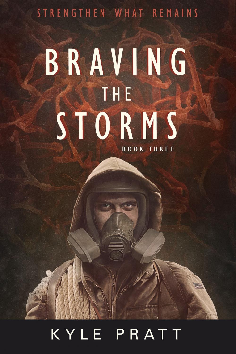 Big bigCover of Braving the Storms