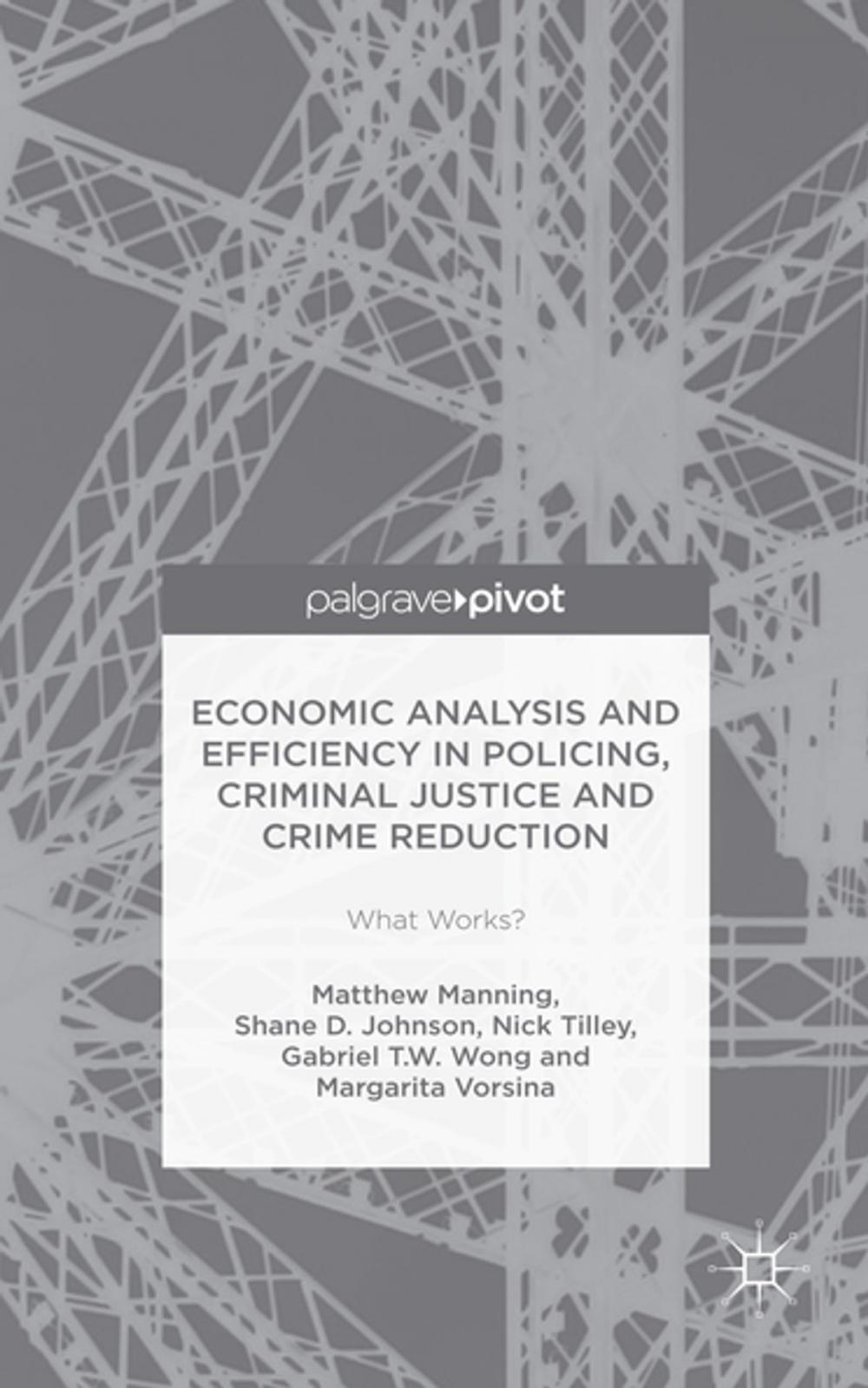 Big bigCover of Economic Analysis and Efficiency in Policing, Criminal Justice and Crime Reduction