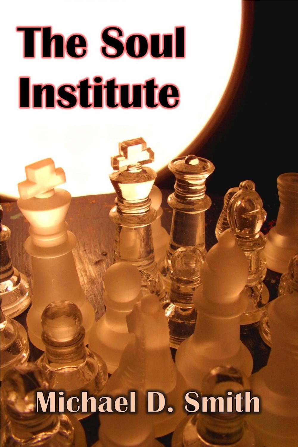 Big bigCover of The Soul Institute