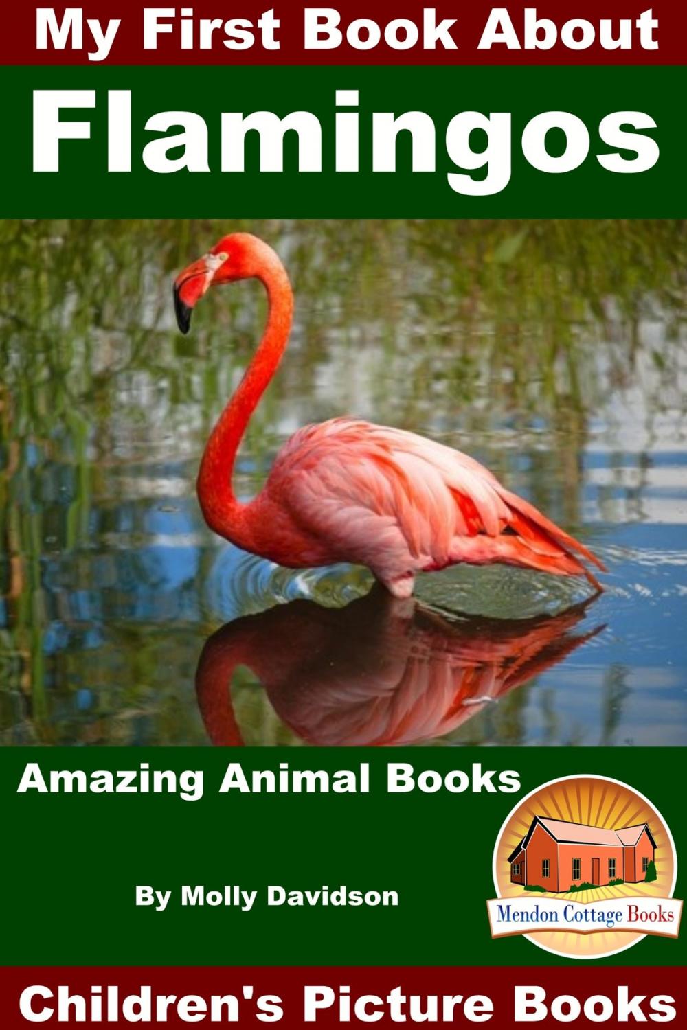 Big bigCover of My First Book About Flamingos: Amazing Animal Books - Children's Picture Books