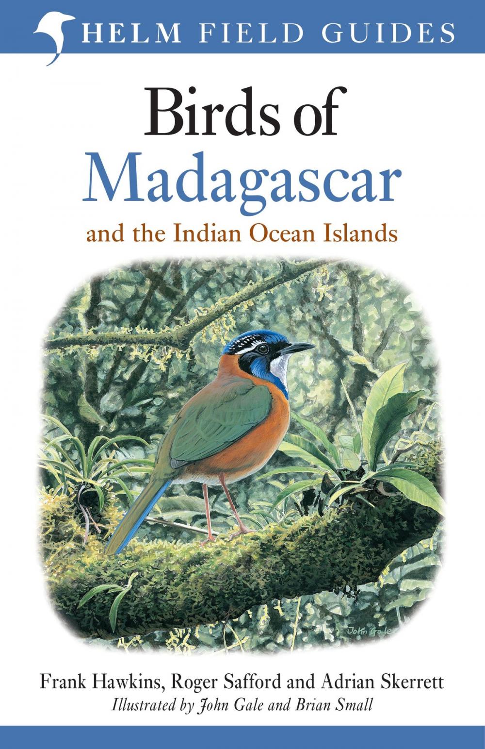 Big bigCover of Birds of Madagascar and the Indian Ocean Islands