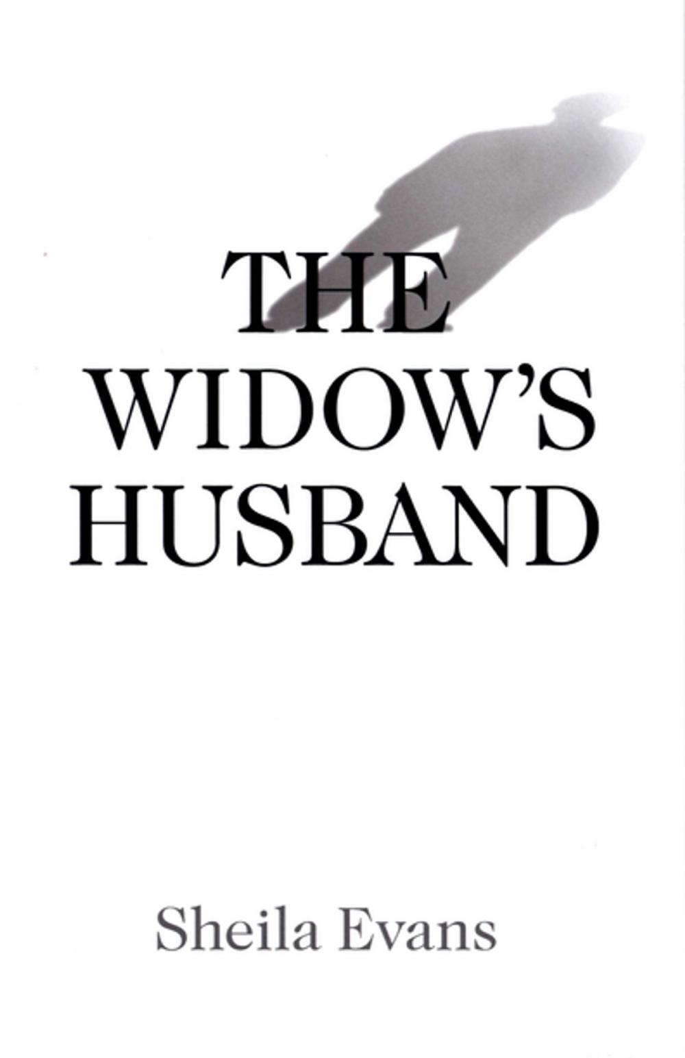 Big bigCover of The Widow's Husband