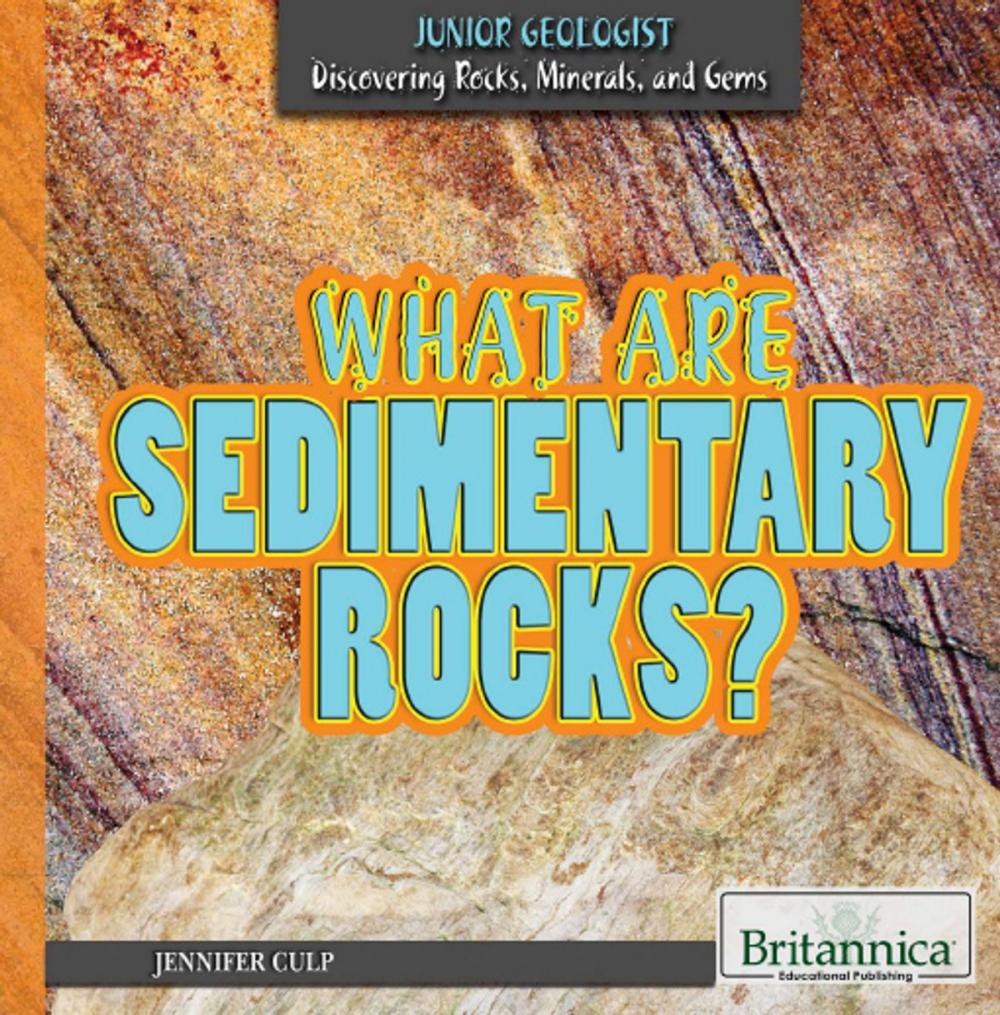 Big bigCover of What Are Sedimentary Rocks?