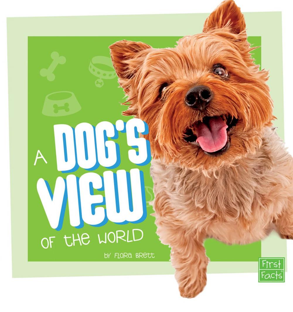 Big bigCover of A Dog's View of the World