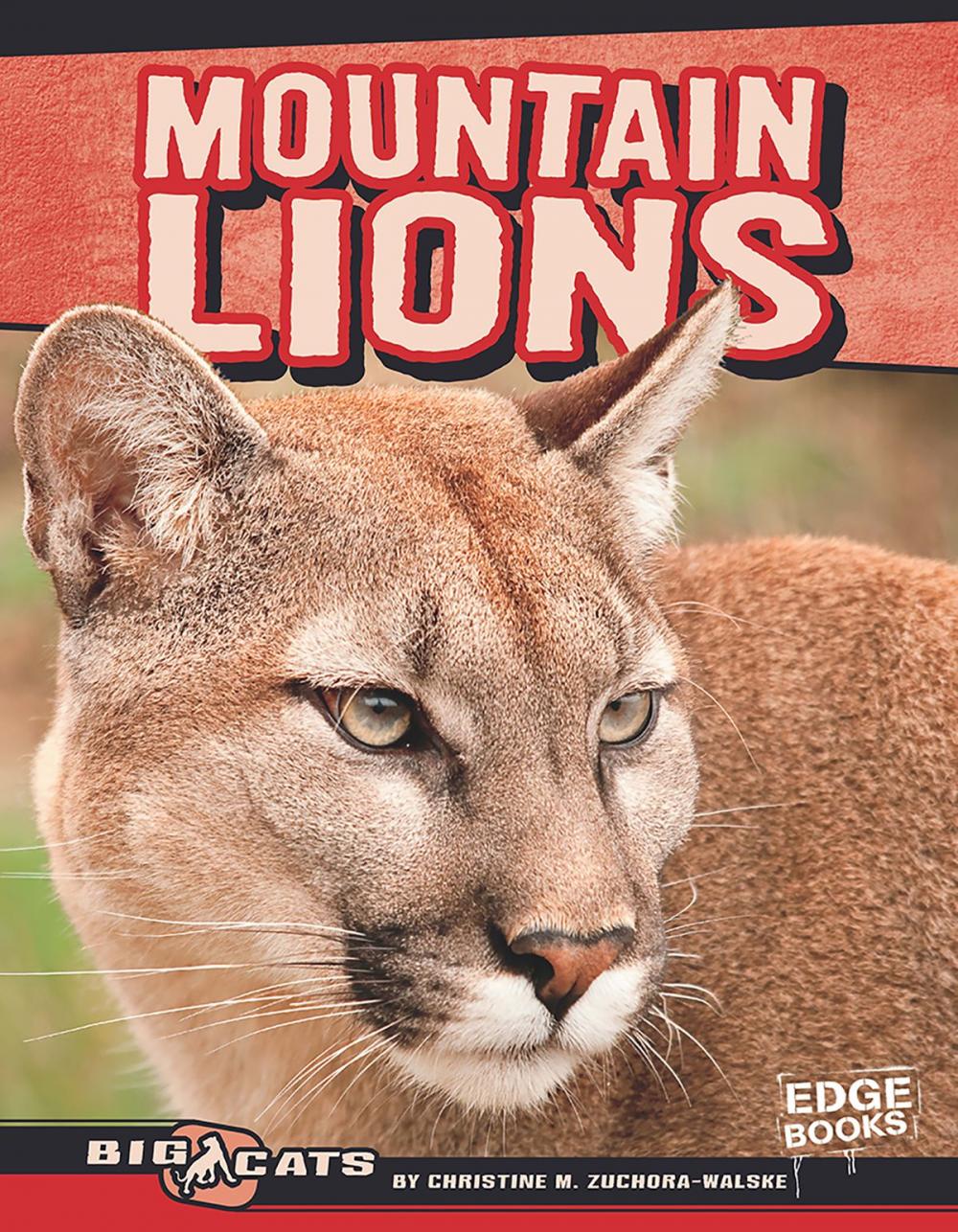 Big bigCover of Mountain Lions