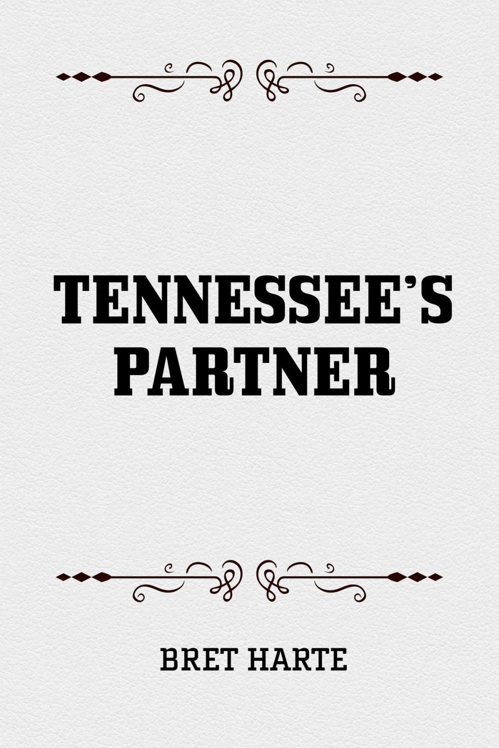Big bigCover of Tennessee’s Partner