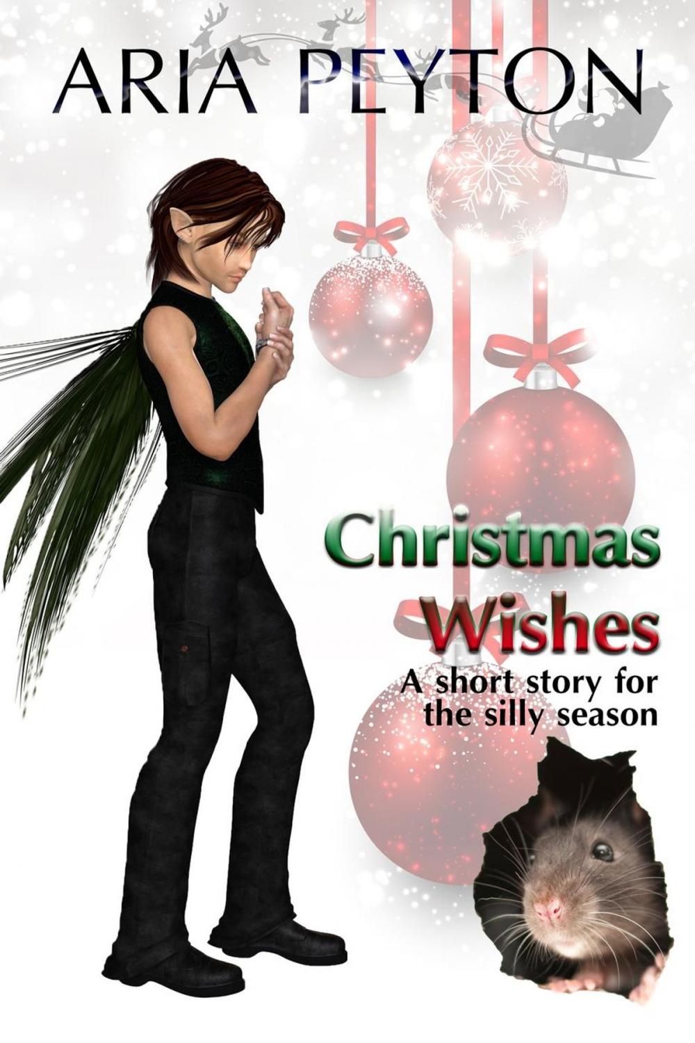 Big bigCover of Christmas Wishes - A short story for the silly season
