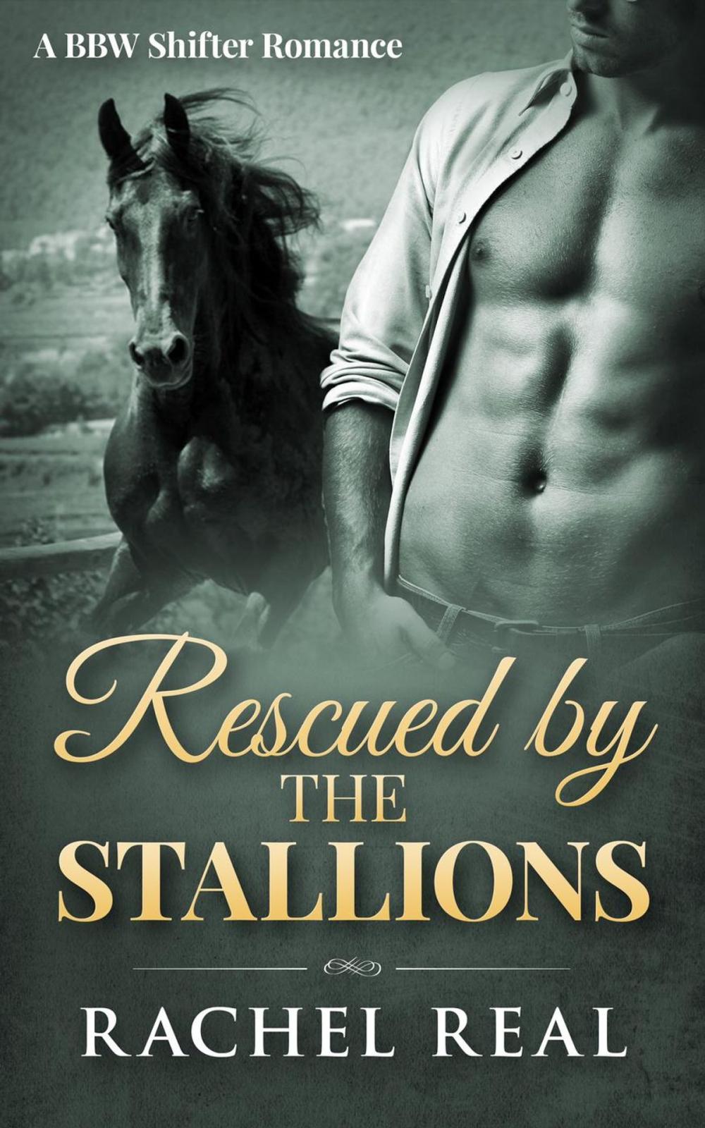 Big bigCover of Rescued by the Stallions