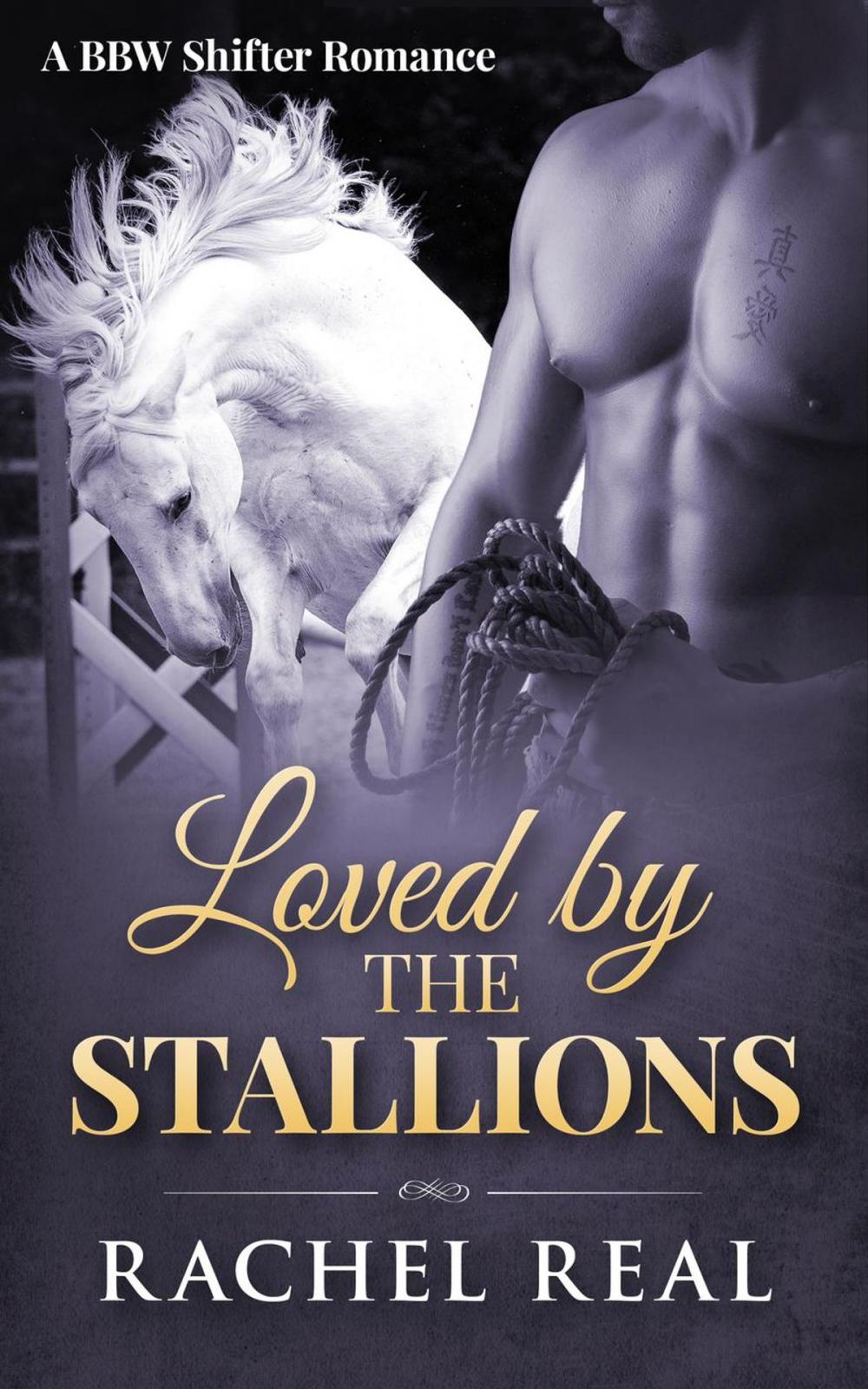 Big bigCover of Loved by the Stallions