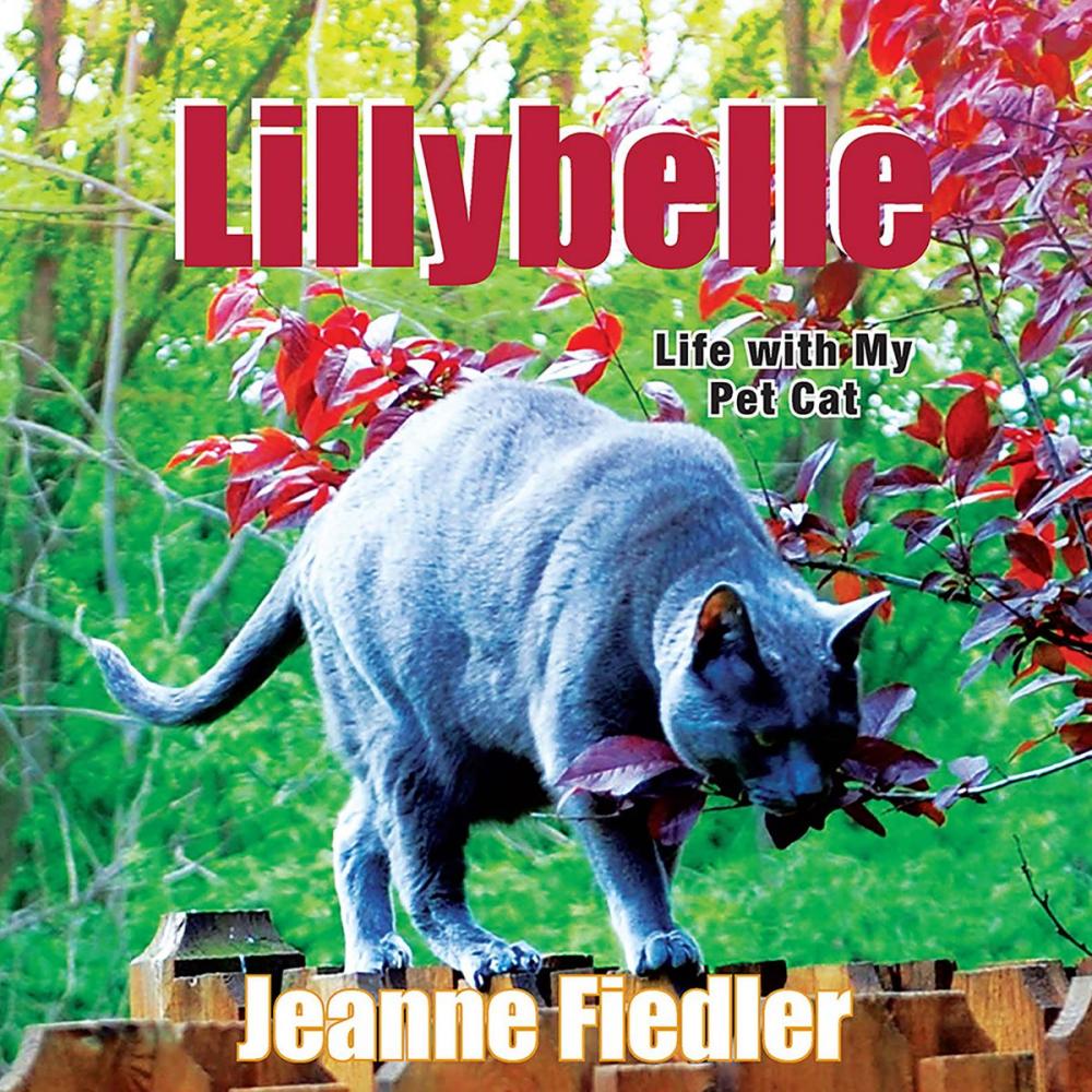 Big bigCover of Lillybelle