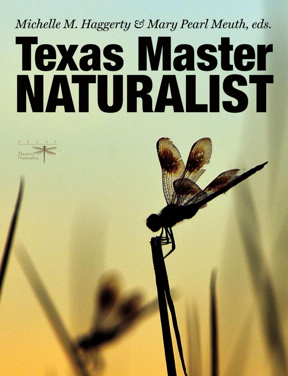 Big bigCover of Texas Master Naturalist Statewide Curriculum