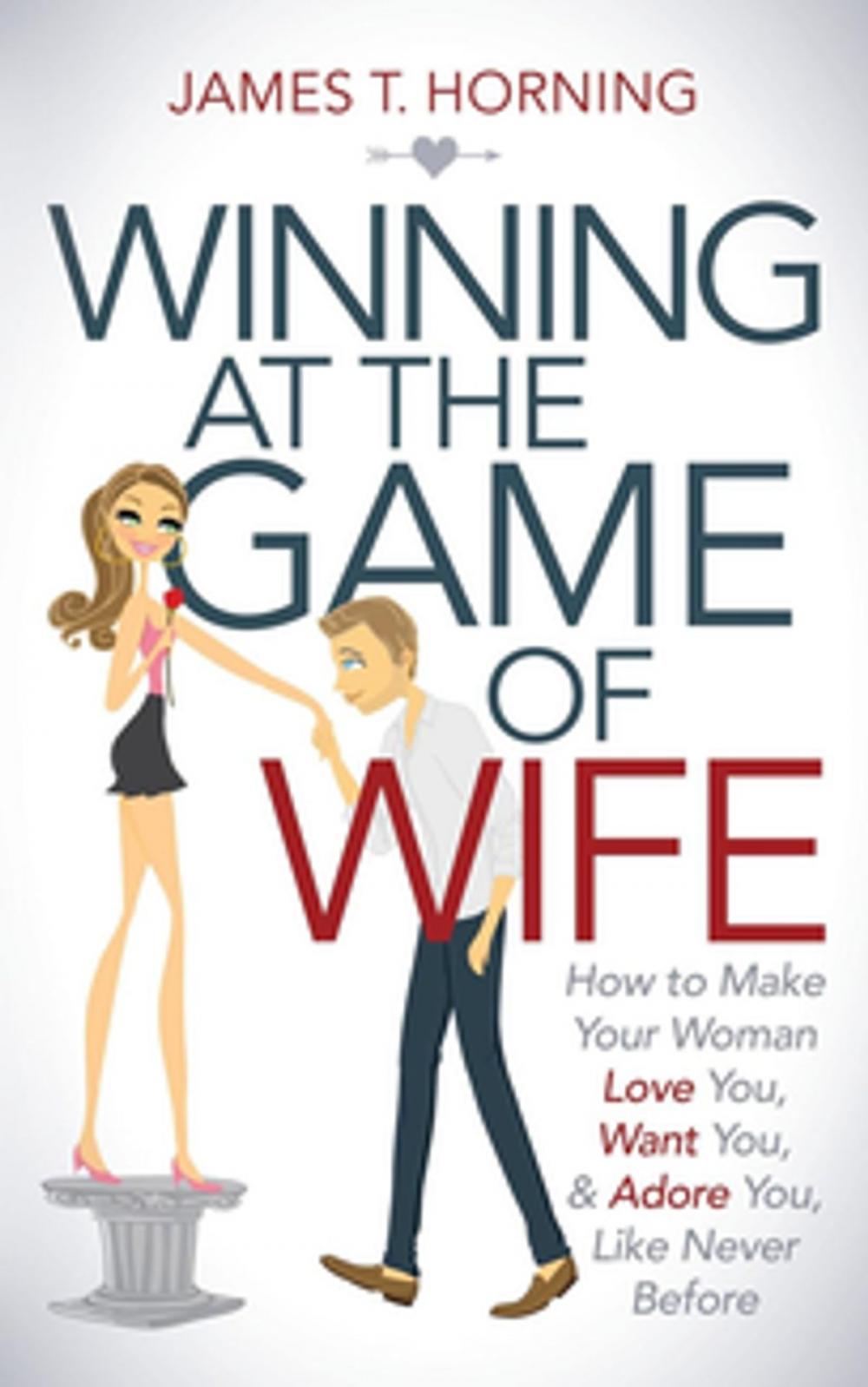 Big bigCover of Winning at the Game of Wife