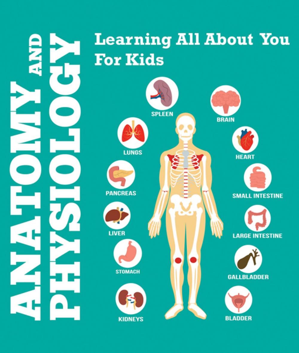 Big bigCover of Anatomy And Physiology: Learning All About You For Kids