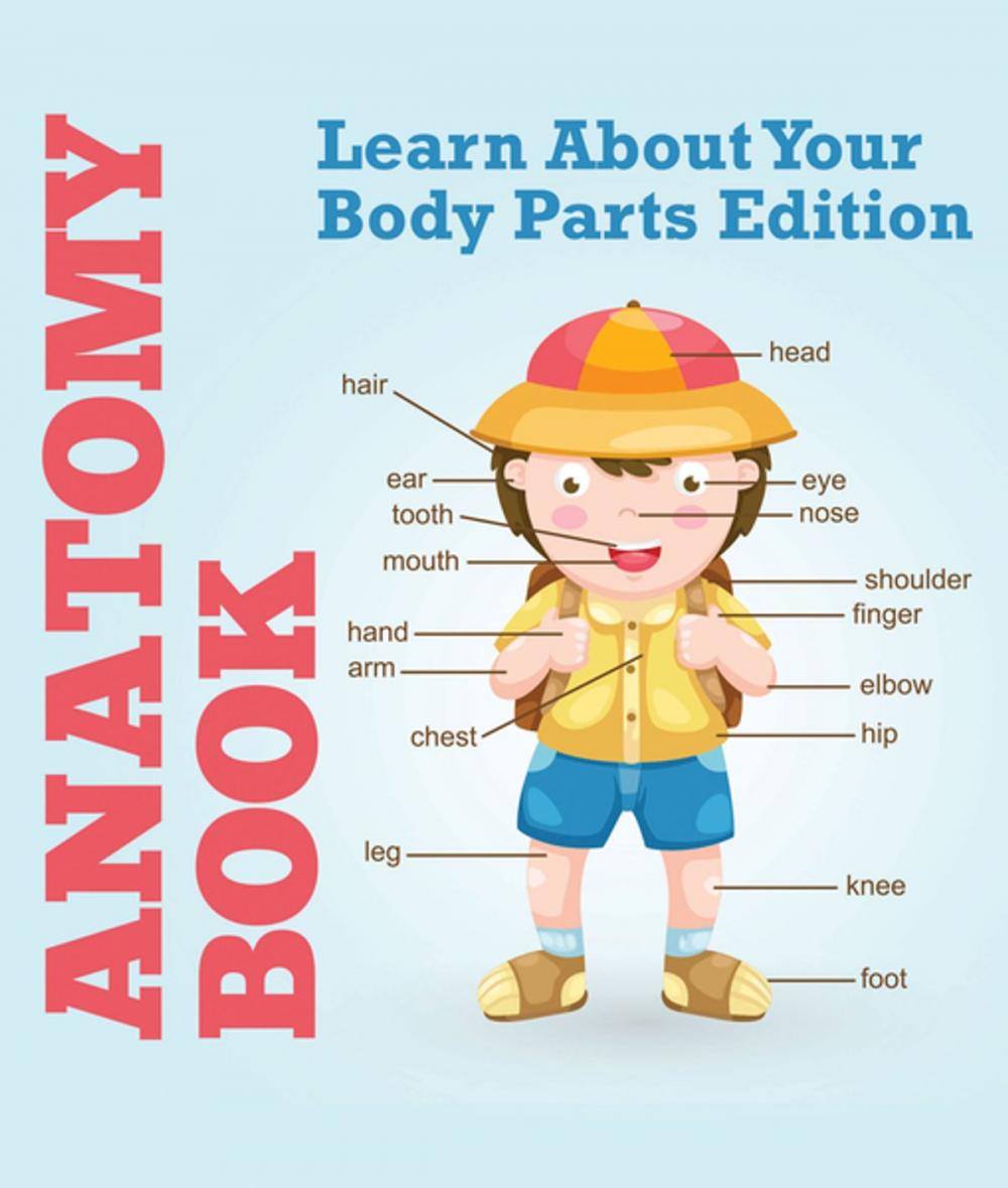 Big bigCover of Anatomy Book: Learn About Your Body Parts Edition