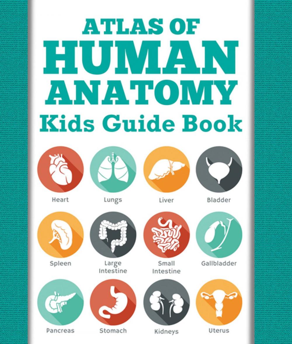 Big bigCover of Atlas Of Human Anatomy: Kids Guide Book