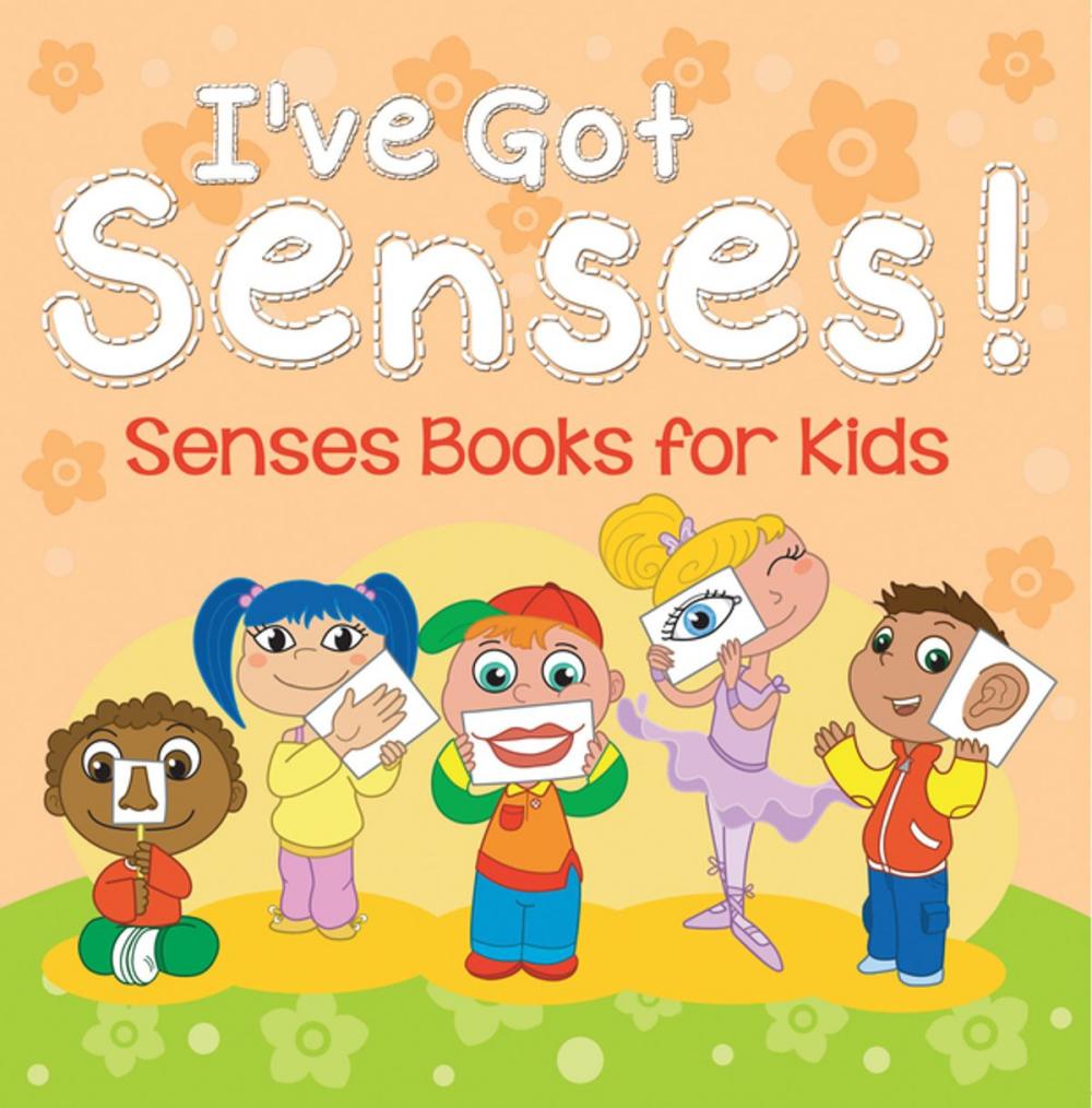 Big bigCover of I've Got Senses!: Senses Books for Kids
