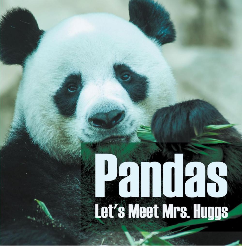 Big bigCover of Pandas - Let's Meet Mrs. Huggs