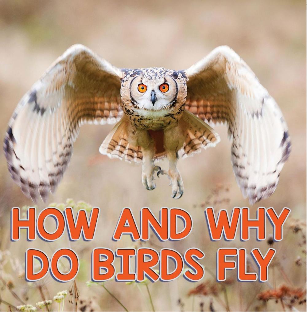 Big bigCover of How and Why Do Birds Fly