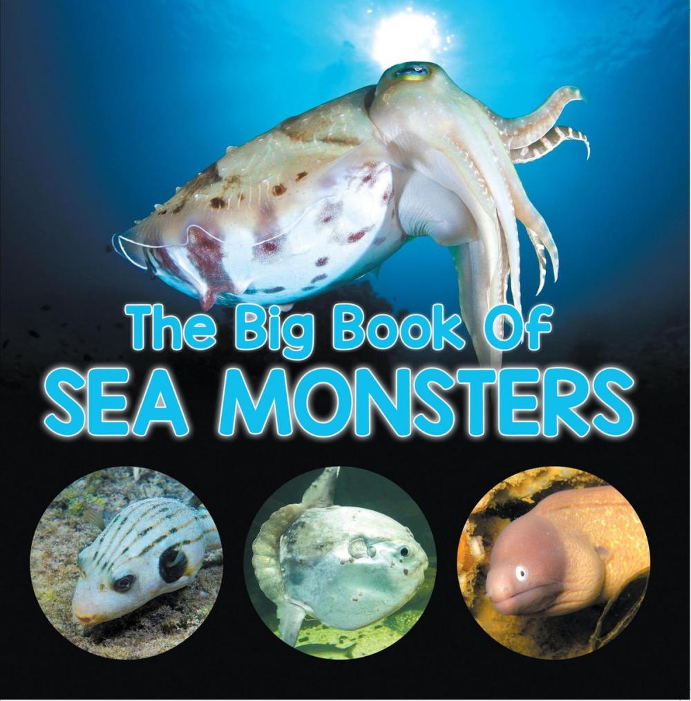 Big bigCover of The Big Book Of Sea Monsters (Scary Looking Sea Animals)