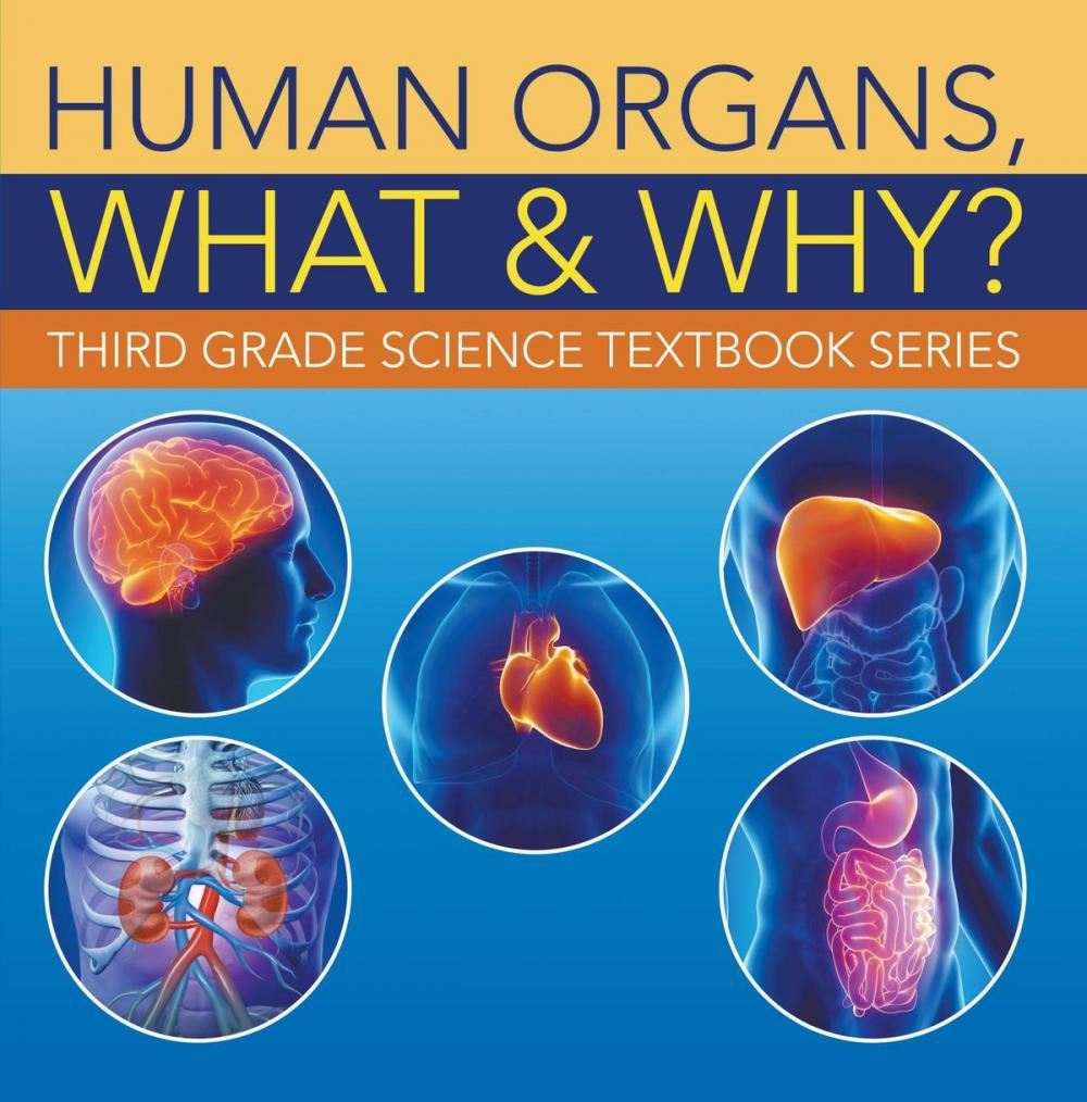 Big bigCover of Human Organs, What & Why? : Third Grade Science Textbook Series