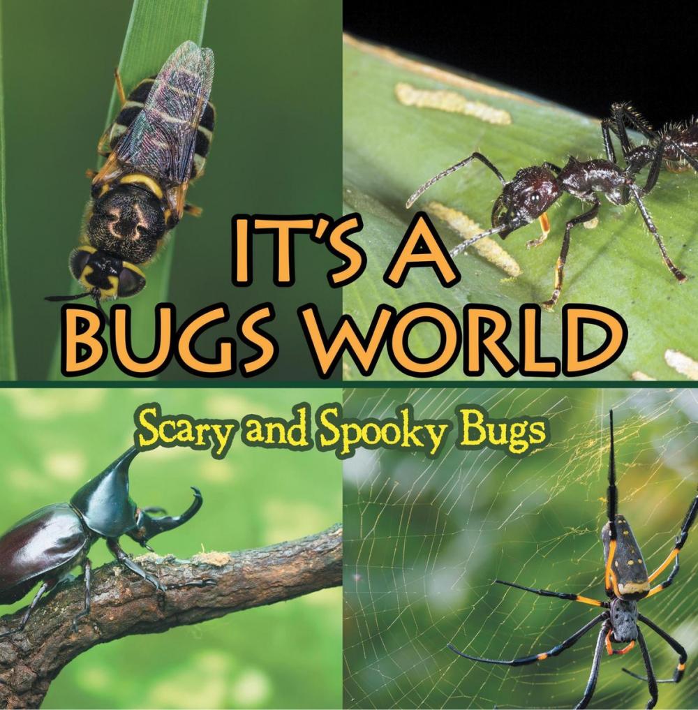 Big bigCover of Its A Bugs World: Scary and Spooky Bugs