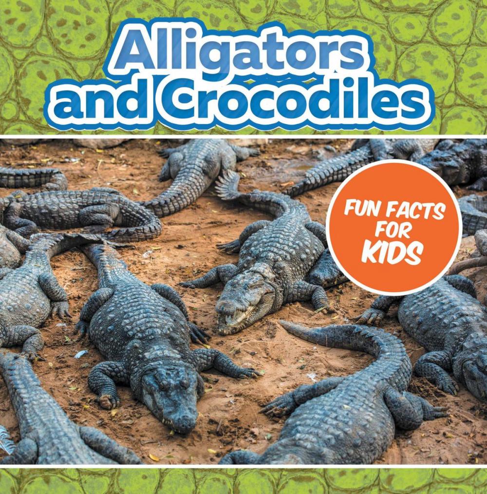 Big bigCover of Alligators and Crocodiles Fun Facts For Kids