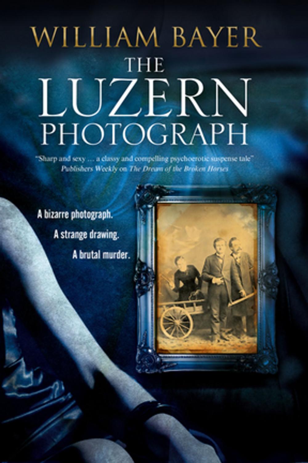 Big bigCover of The Luzern Photograph