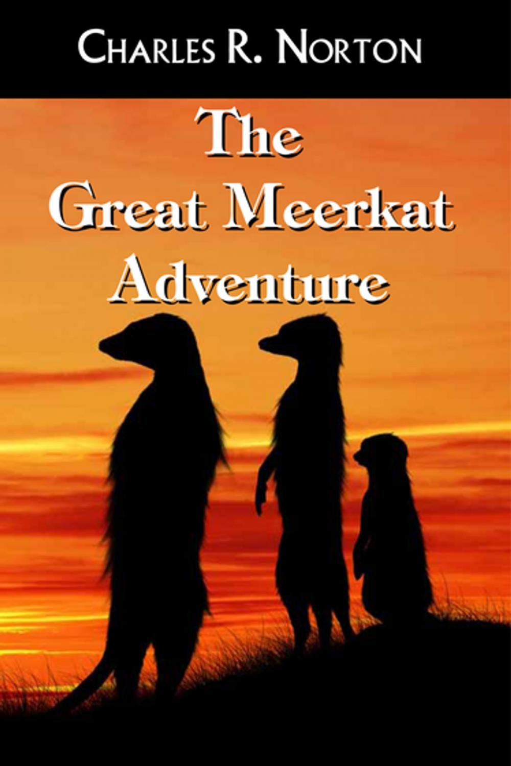 Big bigCover of The Great Meerkat Adventure