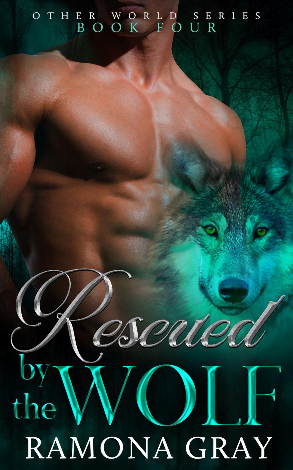 Big bigCover of Rescued By The Wolf (Other World Series Book Four)