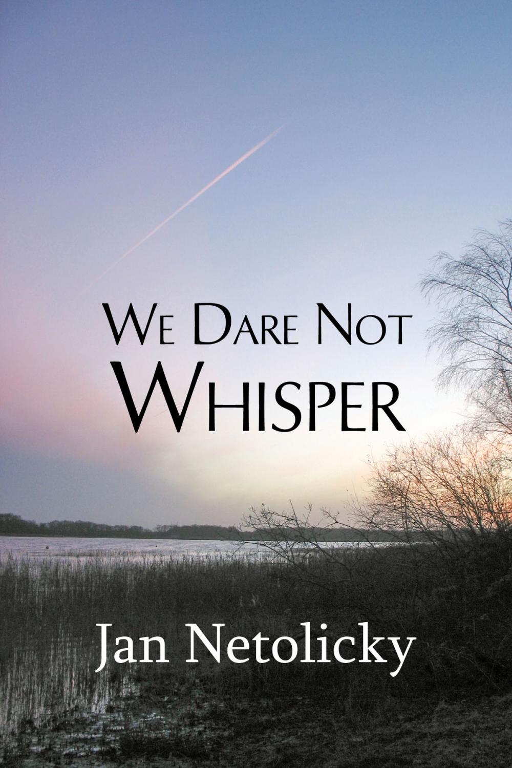Big bigCover of We Dare Not Whisper