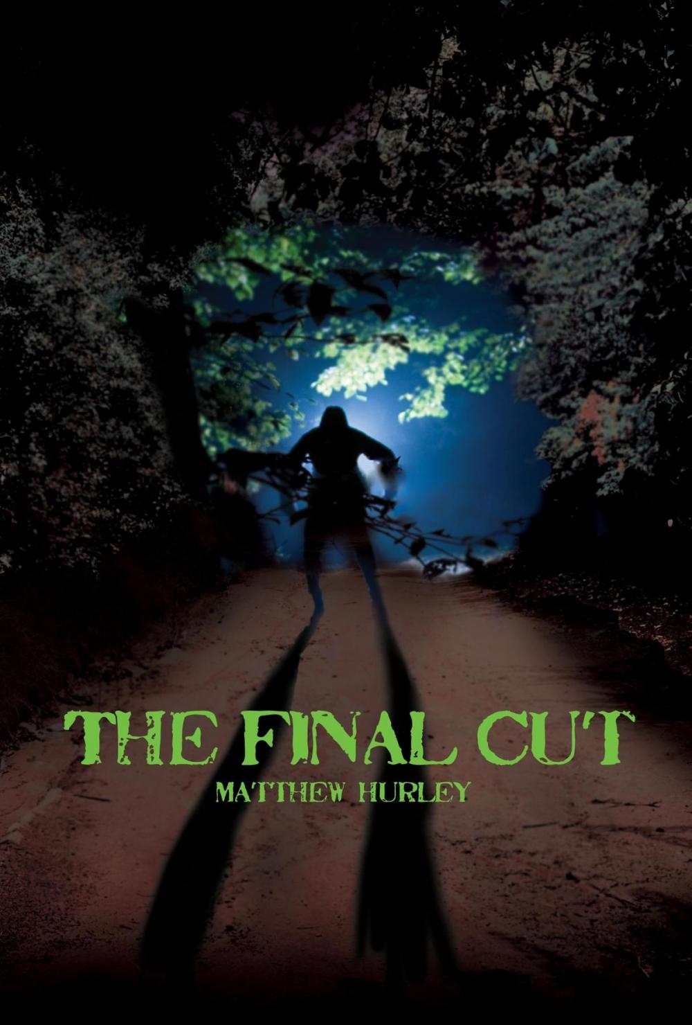 Big bigCover of The Final Cut