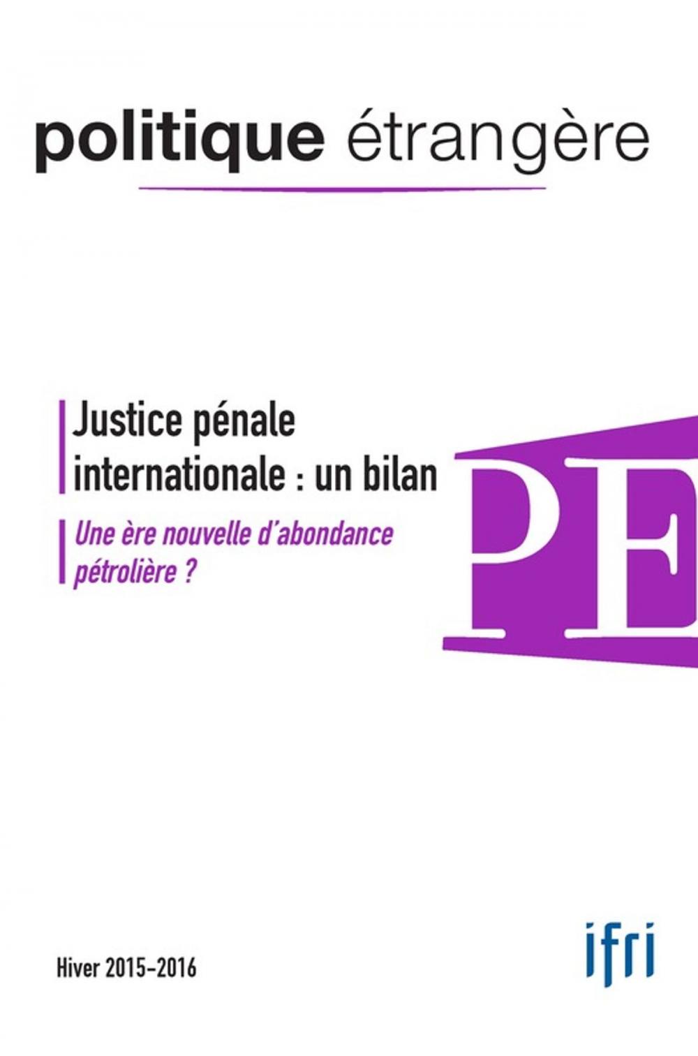 Big bigCover of Justice pénale internationale : un bilan