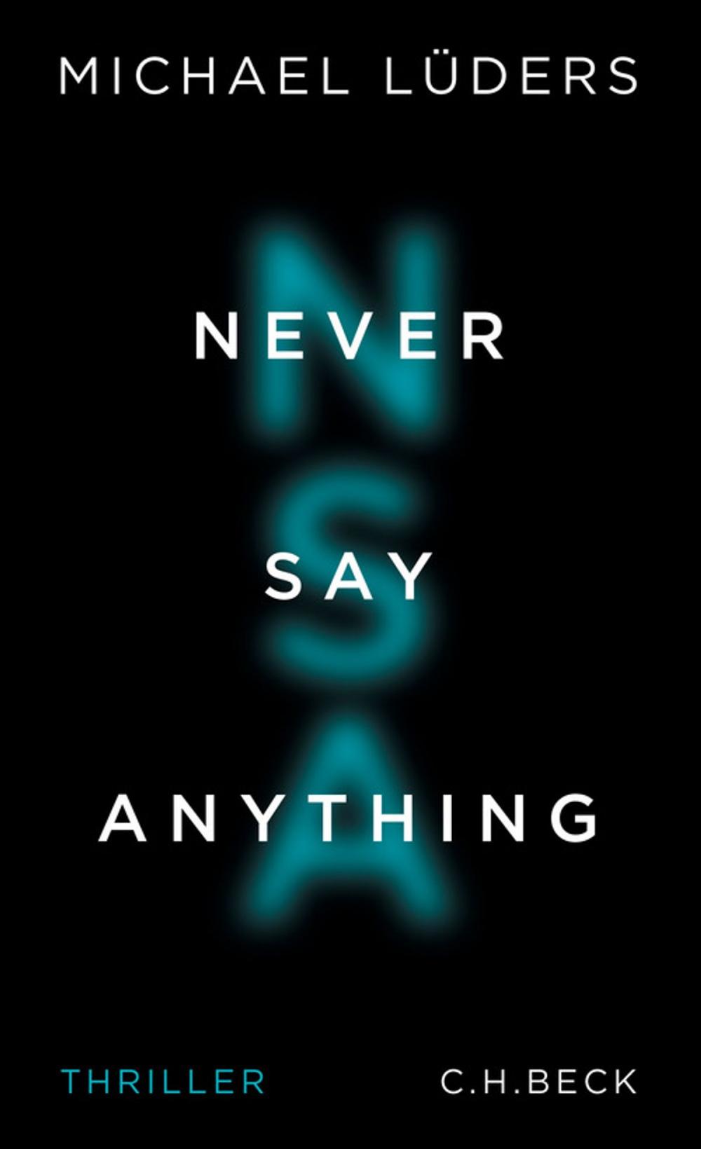 Big bigCover of Never Say Anything