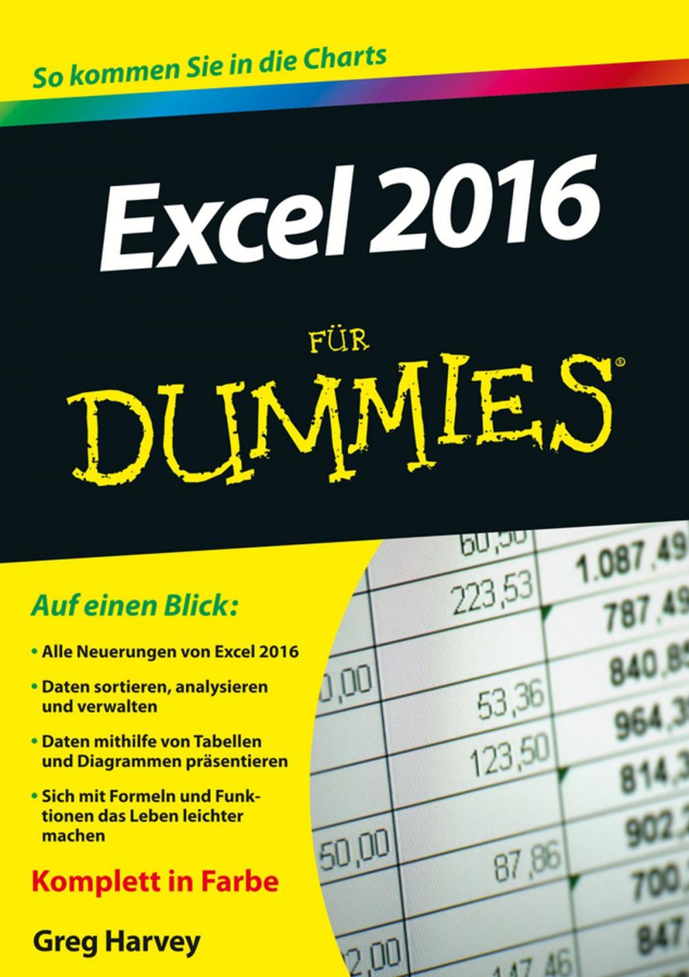 Big bigCover of Excel 2016 für Dummies