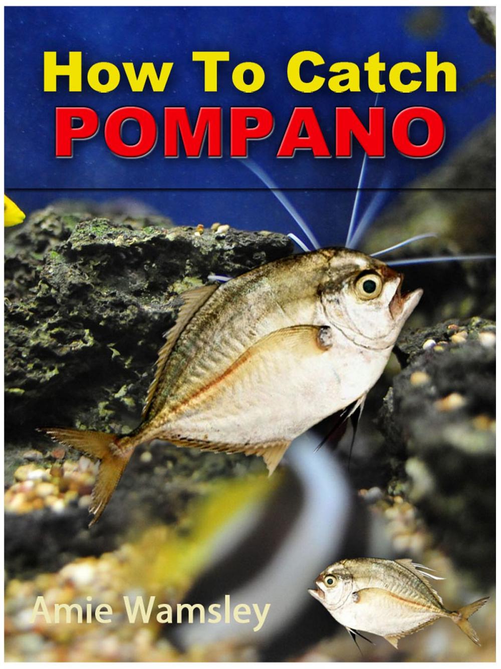 Big bigCover of How To Catch Pompano